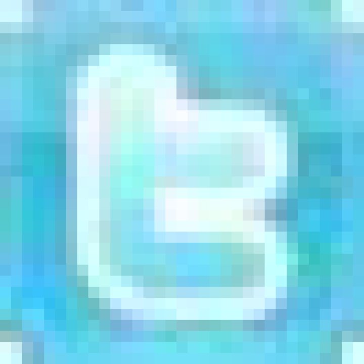 twitter-buttonsmall