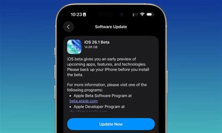 Why Developers Value Free Beta Releases